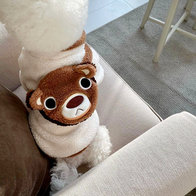 Little Bear Dog Coat