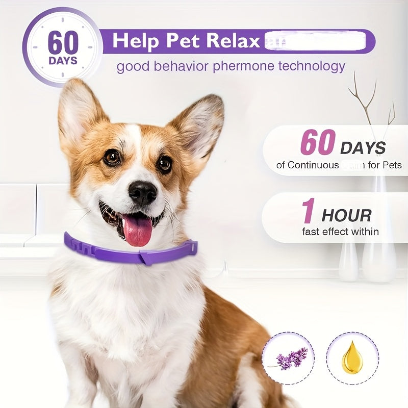 3-Pack of Dog Calming Pheromone Collars, Each Lasts 60 Days