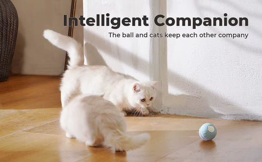 KITPLUS App Interactive Cat Ball Toy